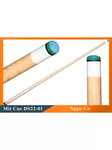 Cơ Bida Lỗ Mit DS22-01