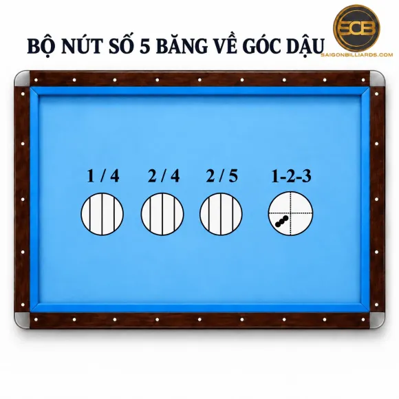 Ngọn Cơ Bida Bị Móp: Nguyên Nhân, Dấu Hiệu Và Cách Khắc Phục