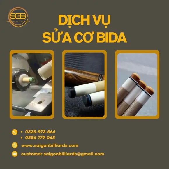 Dịch vụ