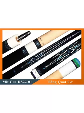Cơ Bida Lỗ Mit DS22-01