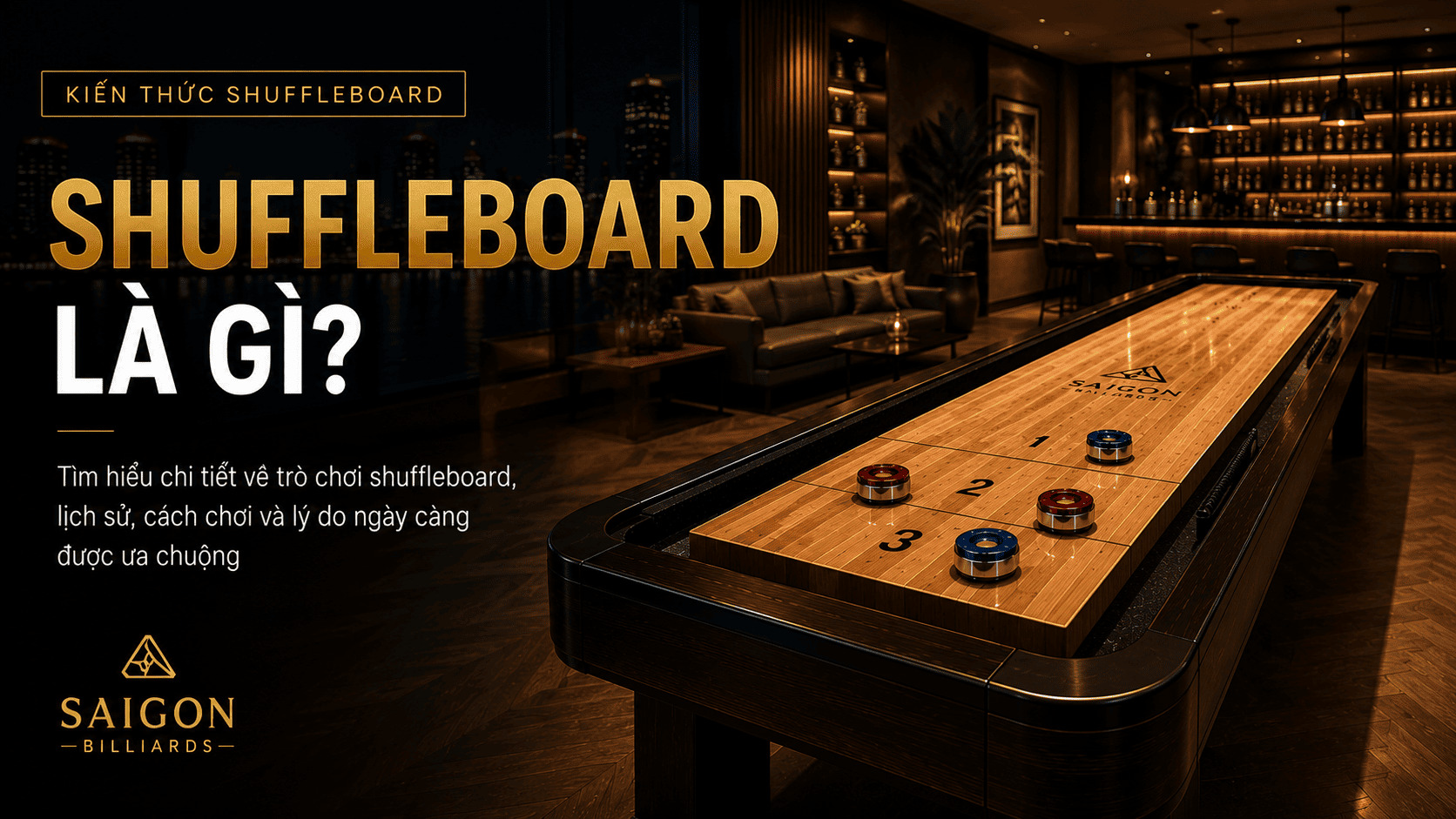 Infographic tóm tắt thông tin quan trọng về shuffleboard là gì.
