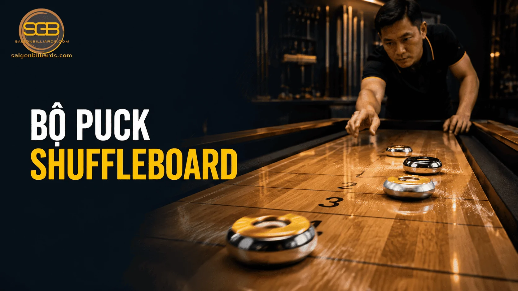 bộ puck shuffleboard