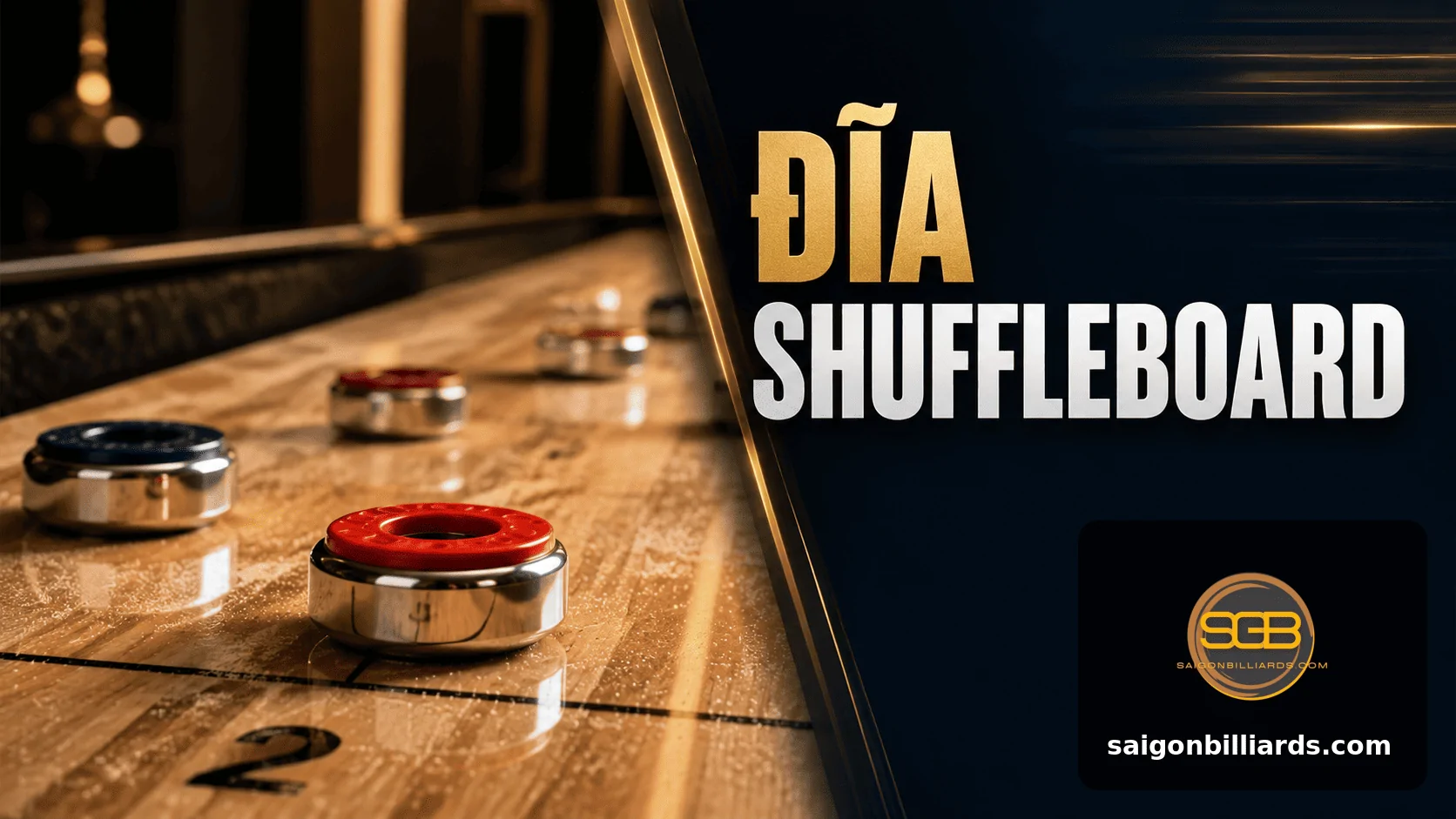 đĩa shuffleboard