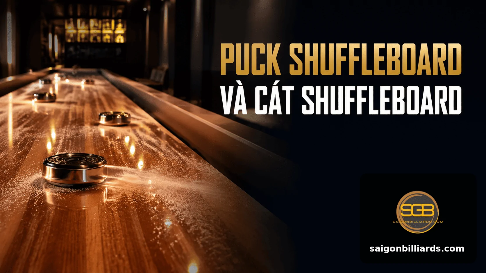 puck shuffleboard v&agrave; c&aacute;t shuffleboard