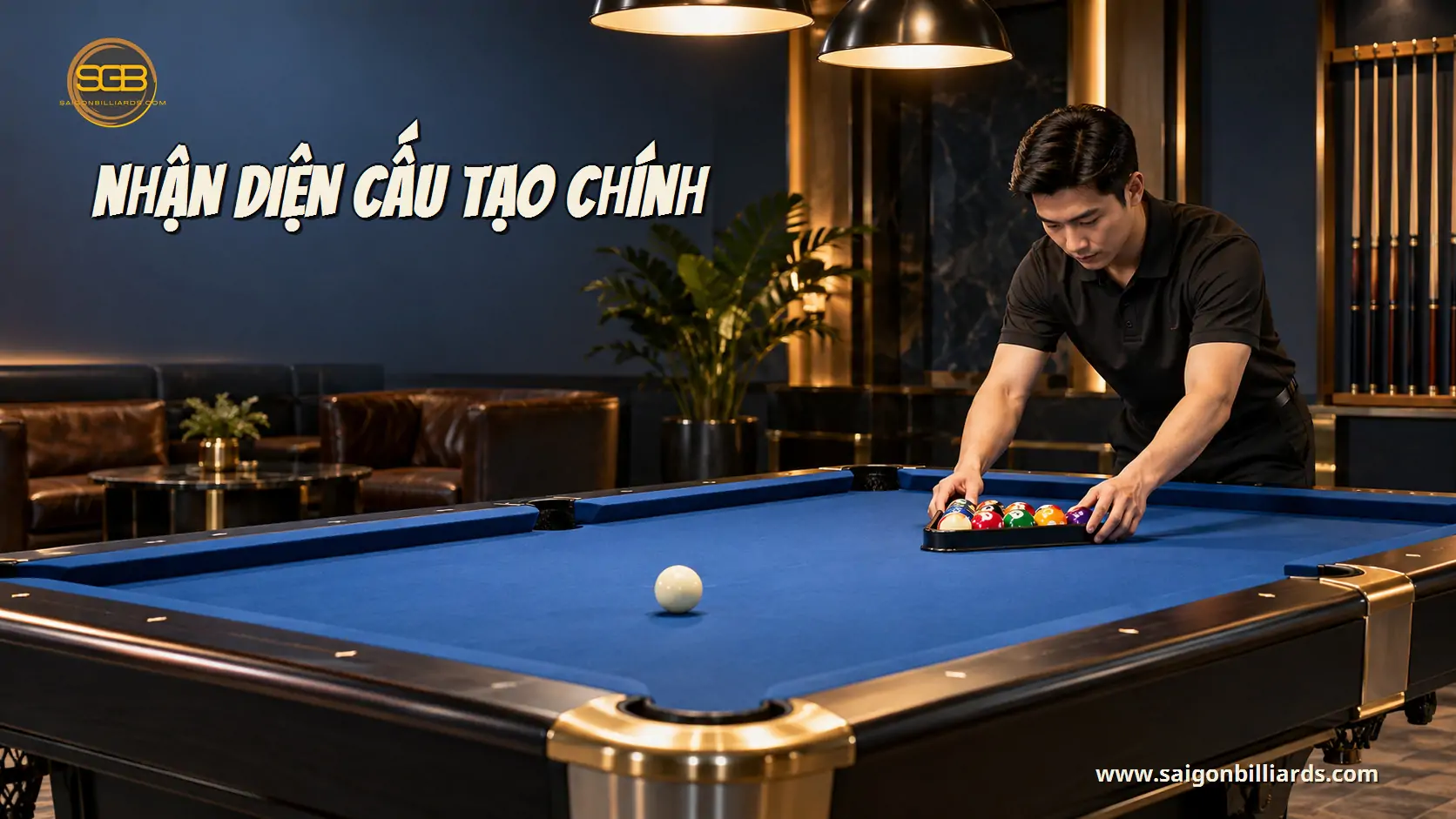 nhận diện cấu tạo ch&iacute;nh trong b&agrave;i trọng lượng b&agrave;n bida