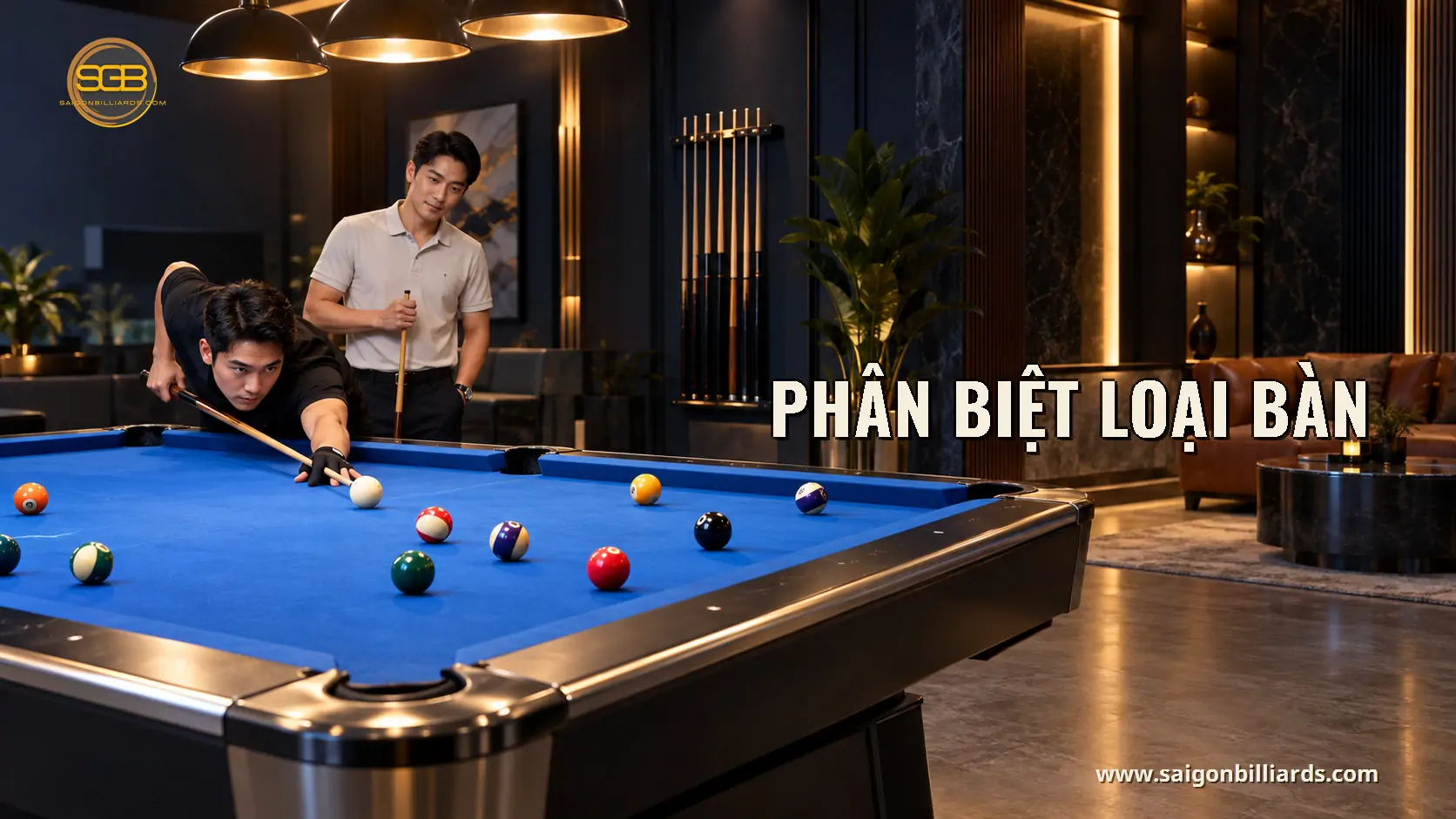 ph&acirc;n biệt loại b&agrave;n trong b&agrave;i trọng lượng b&agrave;n bida
