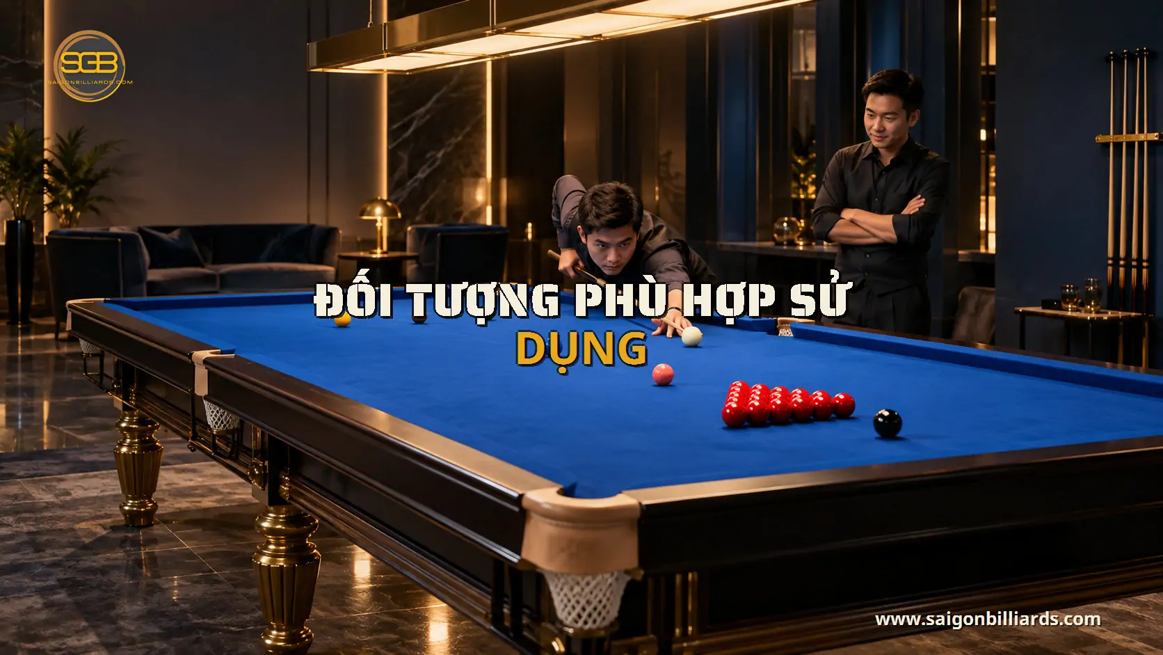 đối tượng phù hợp sử dụng. trong bài bàn bida snooker